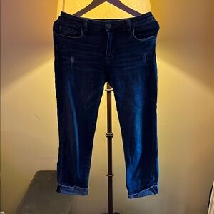 Kut from the Kloth Blue Ankle Cropped Jeans